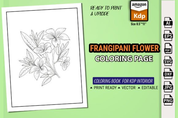Frangipani Flowers Coloring Page Books