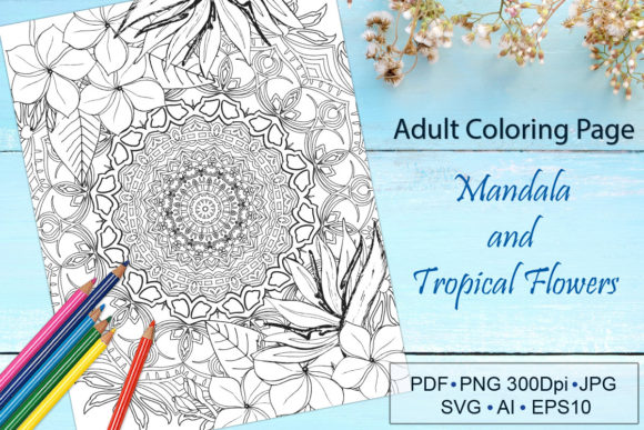 Mandala and Flowers Coloring Book: Graphics and Coloring Pages Amp