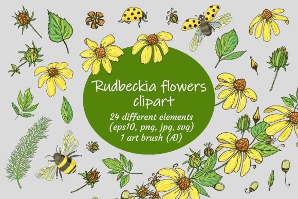 Rudbeckia Flowers Clipart Review